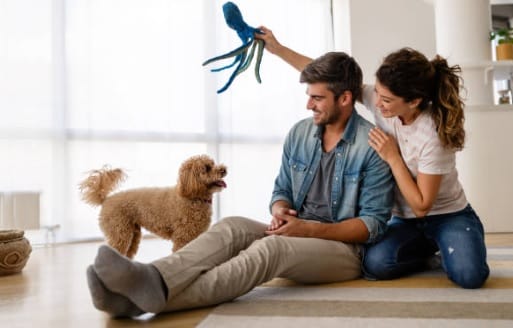 Essential Tips for First-Time Puppy Owners
