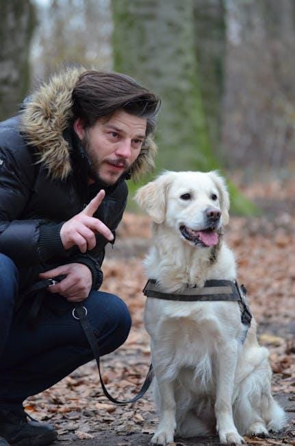 Easy Dog Training Tips for You and Your Pup