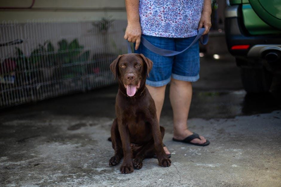 OWNING A DOG | Things to Know Before Getting a Puppy! | Doctor Mike