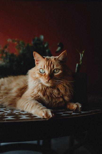 Catster Photo Contest: Cats of the Week Winners (May 1, 2025)