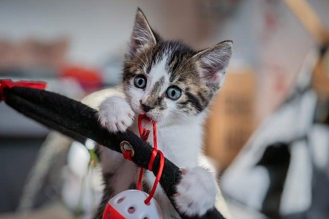 Finding the Perfect Pet for Your Kids: A Fun Guide!