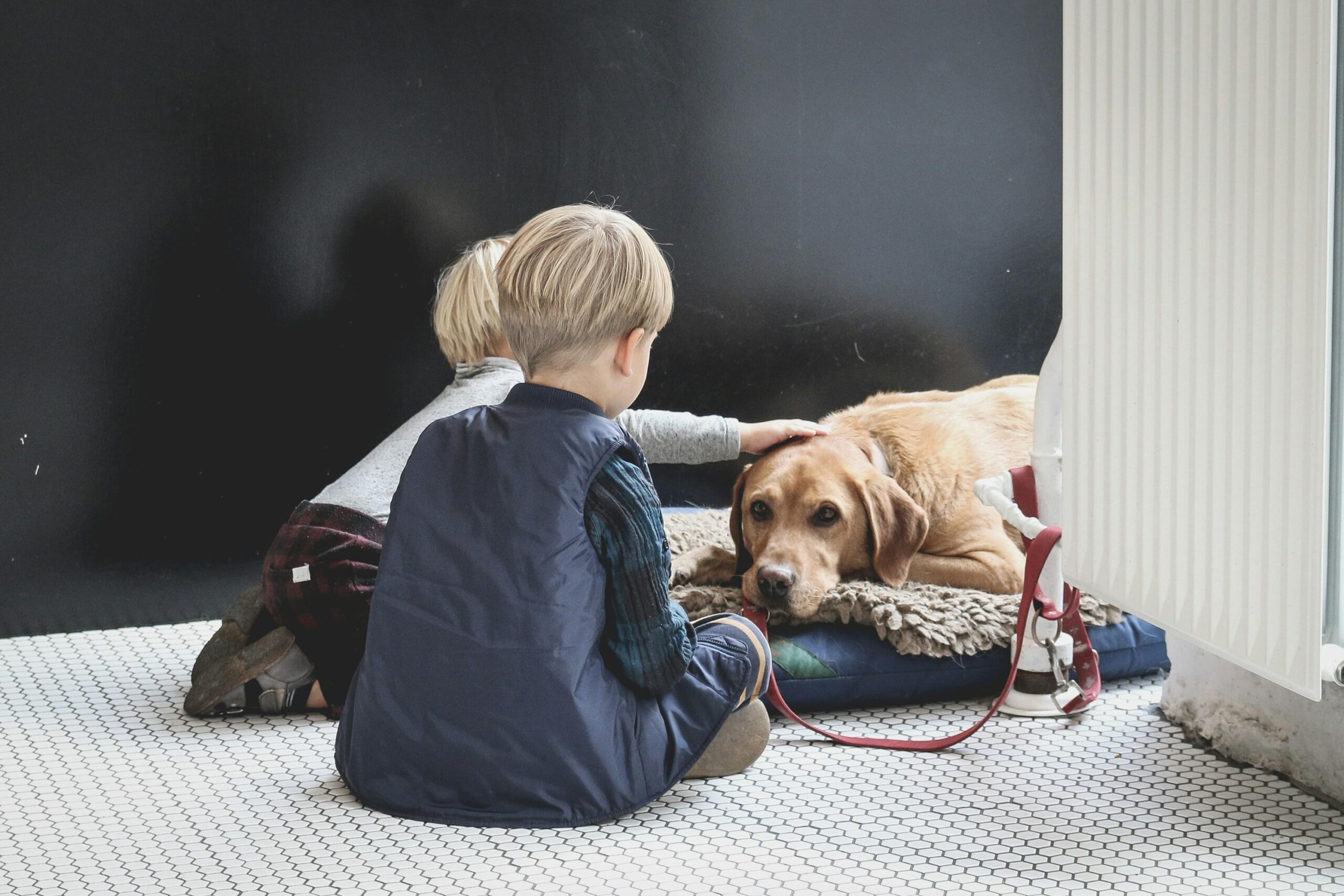Choosing the Perfect Pets for Kids: Fun Furry Friends!