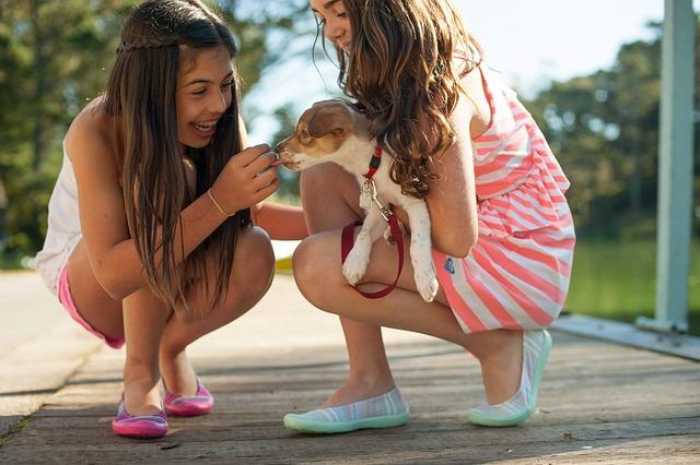 👩‍🏫Teaching Kids How To Play with Pets👦 | Pet Pointers