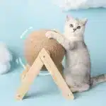 rotating cat scratching ball toy