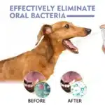 Natural Pet Teeth Cleaning Spray for Dogs