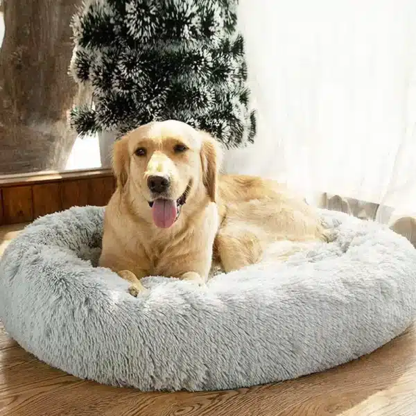 Fluffy Donut Dog Bed