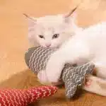 Interactive Catnip Fish Toy – Realistic Motion & Plush Enrichment - Image 3