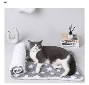 Gray cat lounging on star-patterned mat.