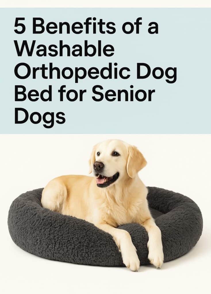 Senior golden retriever resting comfortably on a gray washable orthopedic dog bed with removable cover in a cozy living room.