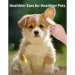 Healthier Pets
