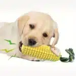Natural Cornstarch Dog Chew Toy – Durable Dental Chew for Small to Large Dogs - Image 3