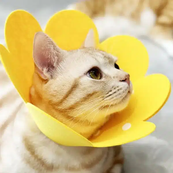 Soft Pet Recovery Collar for Cats & Small Dogs – Protective Cone, Anti-Scratch & Cute Design
