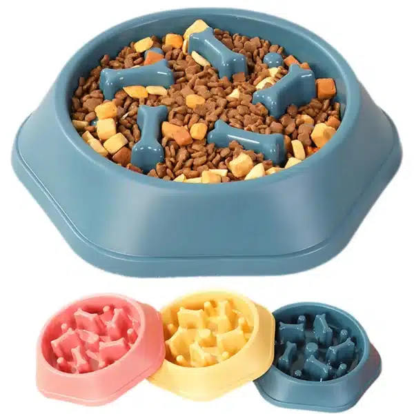 Large Slow Feeder Dog Bowl