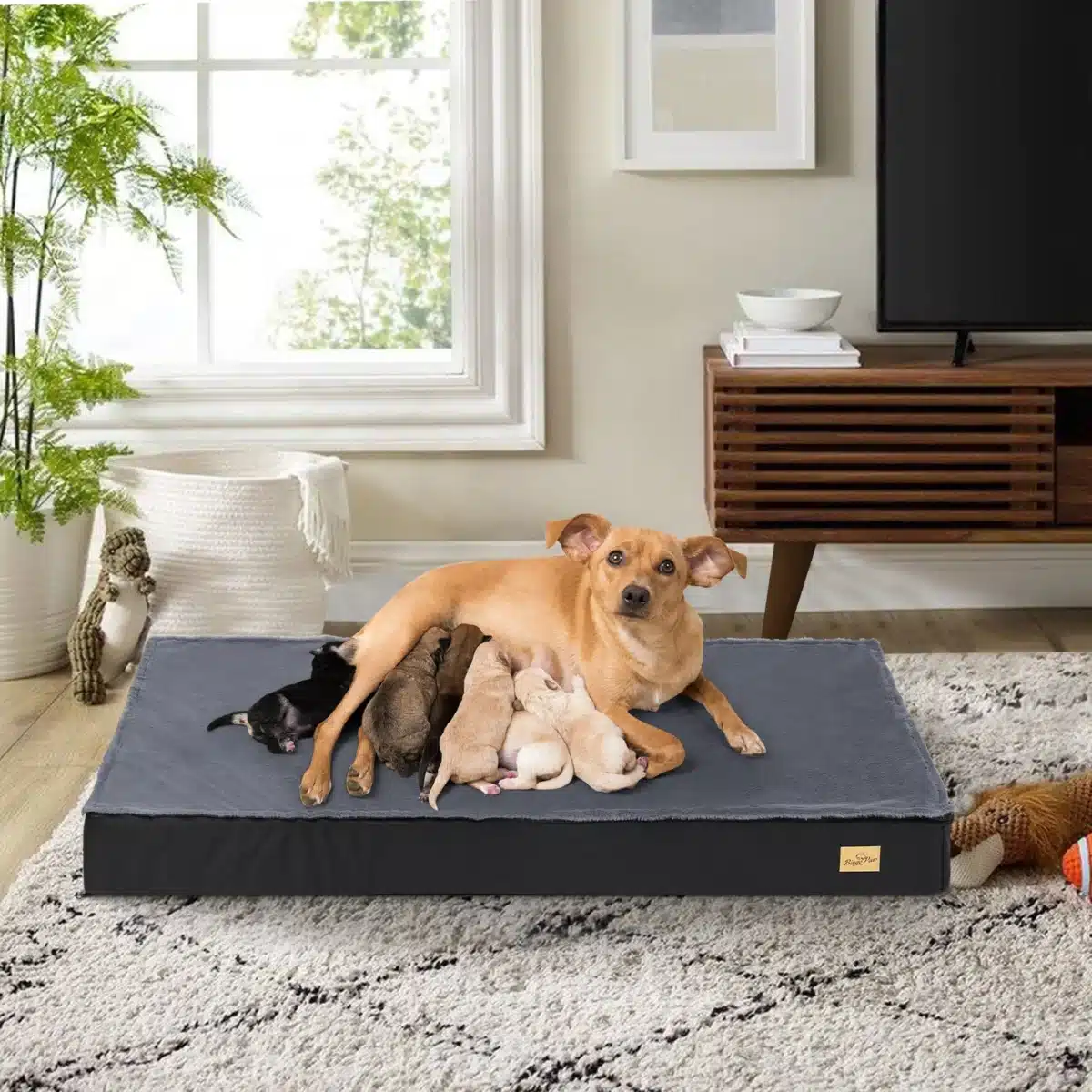 Washable Orthopedic Dog Bed for Large Breeds – Cozy, Supportive, Easy to Clean - Image 3