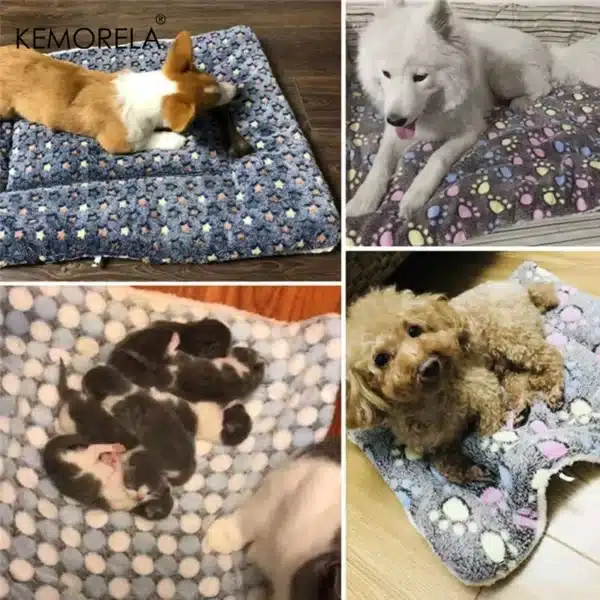 dog enjoys flannel bed