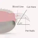 Pet owner trimming dog’s nail with LED pet nail clippers showing lit nail edge