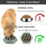 Large Slow Feeder Dog Bowl – Healthy Mealtime - Image 5