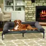 Outdoor Elevated Dog Bed Cooling – Raised Pet Lounger with Breathable Mesh - Image 5