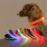 Nylon led dog collar