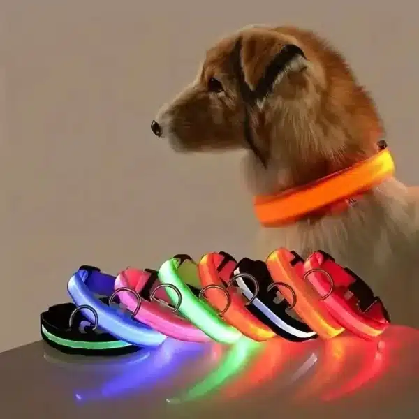 Nylon led dog collar