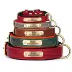 Personalized Dog Name Collar Custom Engraved Pet ID Tag, Adjustable & Durable - Image 3