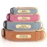 Personalized Dog Name Collar Custom Engraved Pet ID Tag, Adjustable & Durable - Image 2