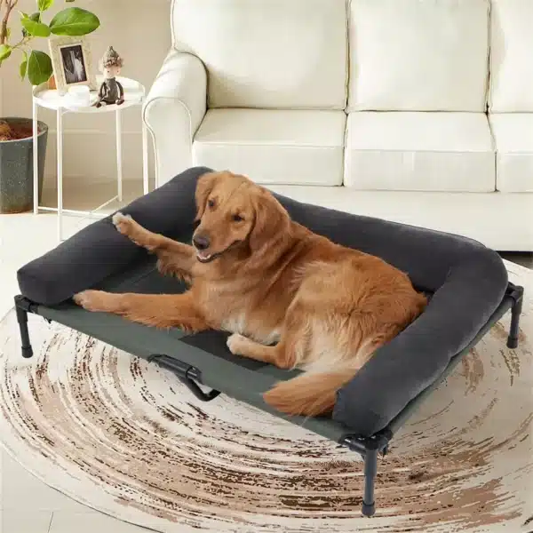 Outdoor Elevated Cooling Dog Bed