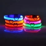 Nylon LED Night Safety Flashing Dog Collar – Keep Your Pet Safe & Stylish - Image 5