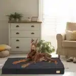 Washable Orthopedic Dog Bed for Large Breeds – Cozy, Supportive, Easy to Clean - Image 4
