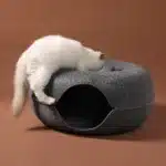 Felt Donut Cat Tunnel