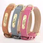 Personalized Dog Name Collar Custom Engraved Pet ID Tag, Adjustable & Durable - Image 4