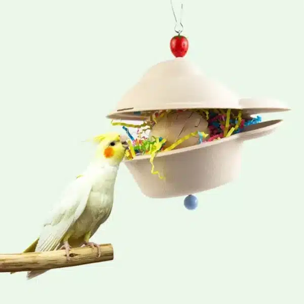 Natural Rattan & Paper Chewing Toy for Small Parrots
