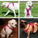 Reflective Tactical Dog Harness – The Best No Pull Dog Harness for Medium & Large Breeds - Image 4
