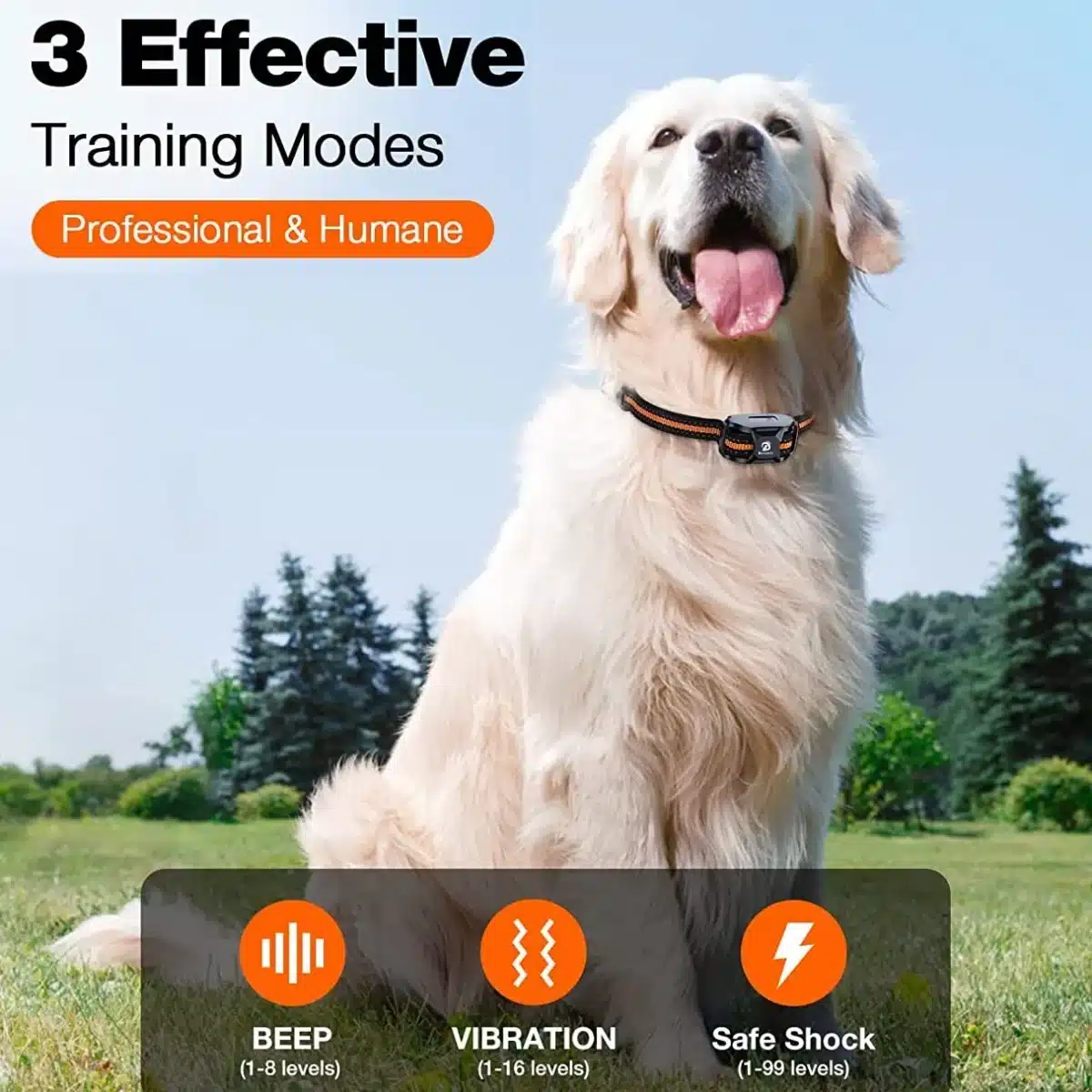 Dog Training Collar with Remote - Rechargeable & Waterproof -1