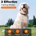 Dog Training Collar with Remote - Rechargeable & Waterproof -1
