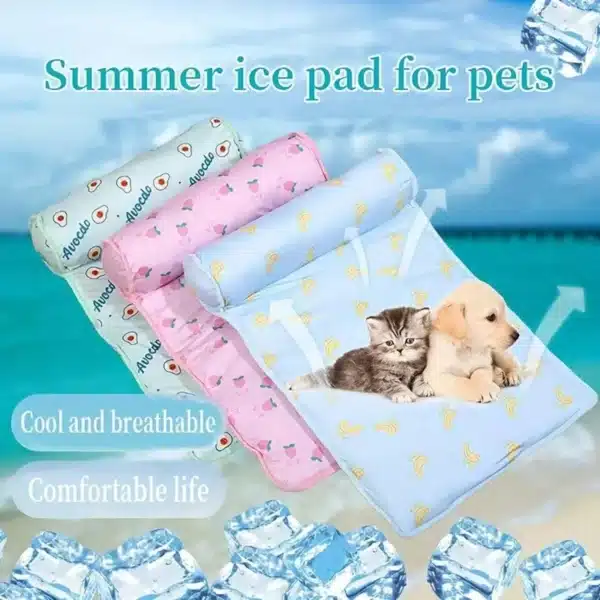 Summer Ice Pad