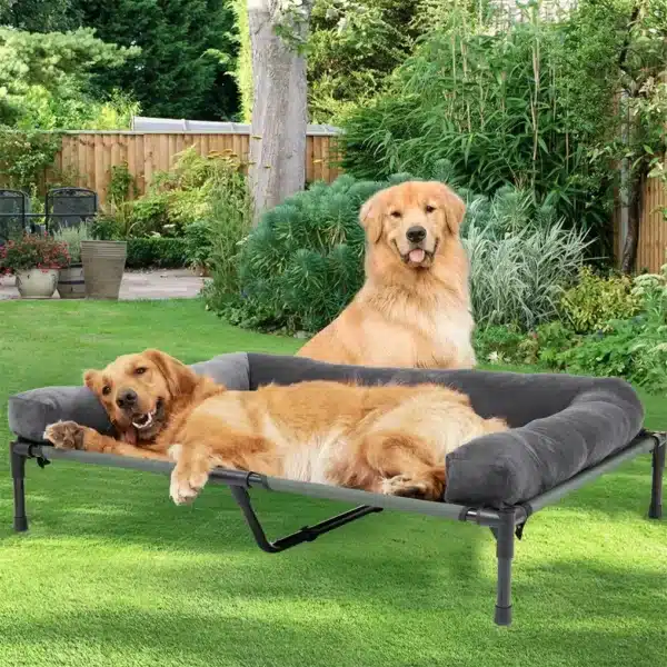 Outdoor Elevated Cooling Dog Bed