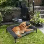 Outdoor Elevated Dog Bed Cooling – Raised Pet Lounger with Breathable Mesh - Image 4