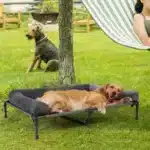 Outdoor Elevated Dog Bed Cooling – Raised Pet Lounger with Breathable Mesh - Image 3