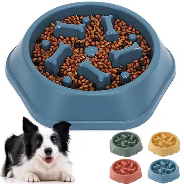 Slow Feeder Bowl