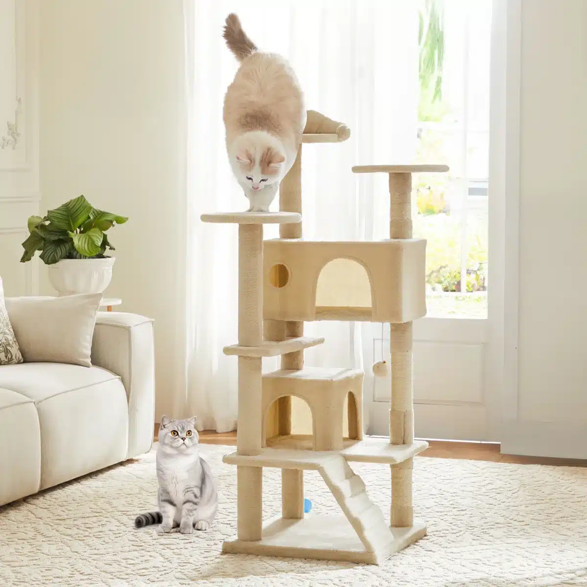 pet cat on a 54 inch pet tree tower