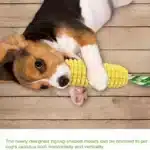 Natural Cornstarch Dog Chew Toy – Durable Dental Chew for Small to Large Dogs - Image 5