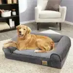 XXL Orthopedic Dog Bed with Cozy Bolster & Washable Cover – Extra Large for Big Breeds - Image 2