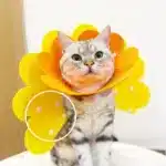 Soft Pet Recovery Collar for Cats & Small Dogs