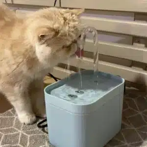 Ultra‑Quiet Automatic Pet Water Fountain 1.5L – USB Recirculating Filter with Anti‑Burnout Pump