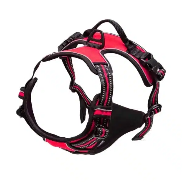 Best no pull dog harness