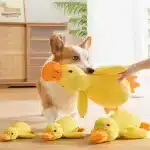 Dog Squeaky Duck Toy
