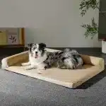 Washable Orthopedic Dog Bed for Large Breeds – Cozy, Supportive, Easy to Clean - Image 3