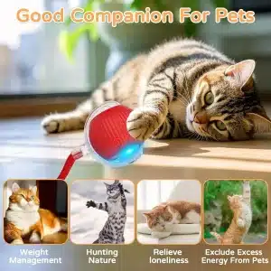 Automatic USB-Rechargeable moving Cat Toy Ball — Smart Interactive Teaser