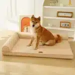 Washable Orthopedic Dog Bed for Large Breeds – Cozy, Supportive, Easy to Clean